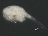  ( - BIOUG02838-C02)  @12 [ ] CreativeCommons - Attribution (2012) CBG Photography Group Centre for Biodiversity Genomics
