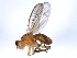 ( - 10BBCDIP-0777)  @13 [ ] CreativeCommons - Attribution (2010) CBG Photography Group Centre for Biodiversity Genomics