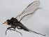  ( - 10BBCDIP-0853)  @12 [ ] CreativeCommons - Attribution (2010) CBG Photography Group Centre for Biodiversity Genomics