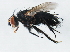  ( - 10BBCDIP-0945)  @12 [ ] CreativeCommons - Attribution (2010) CBG Photography Group Centre for Biodiversity Genomics