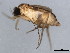  ( - 10BBCDIP-1059)  @12 [ ] CreativeCommons - Attribution (2010) CBG Photography Group Centre for Biodiversity Genomics