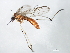  ( - 10BBCDIP-1118)  @12 [ ] CreativeCommons - Attribution (2010) CBG Photography Group Centre for Biodiversity Genomics