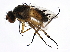  ( - 10BBCDIP-1125)  @12 [ ] CreativeCommons - Attribution (2010) CBG Photography Group Centre for Biodiversity Genomics