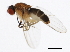  ( - 10BBCDIP-1128)  @12 [ ] CreativeCommons - Attribution (2010) CBG Photography Group Centre for Biodiversity Genomics