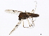  ( - 10BBCDIP-1154)  @12 [ ] CreativeCommons - Attribution (2010) CBG Photography Group Centre for Biodiversity Genomics