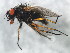  ( - 10BBCDIP-1207)  @13 [ ] CreativeCommons - Attribution (2010) CBG Photography Group Centre for Biodiversity Genomics