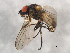  ( - 10BBCDIP-1254)  @13 [ ] CreativeCommons - Attribution (2010) CBG Photography Group Centre for Biodiversity Genomics