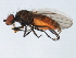  ( - 10BBCDIP-1302)  @12 [ ] CreativeCommons - Attribution (2010) CBG Photography Group Centre for Biodiversity Genomics