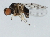  ( - 10BBCDIP-1335)  @12 [ ] CreativeCommons - Attribution (2010) CBG Photography Group Centre for Biodiversity Genomics