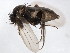  ( - 10BBCDIP-1490)  @13 [ ] CreativeCommons - Attribution (2010) CBG Photography Group Centre for Biodiversity Genomics
