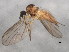  ( - 10BBCDIP-1561)  @13 [ ] CreativeCommons - Attribution (2010) CBG Photography Group Centre for Biodiversity Genomics