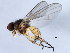  ( - 10BBCDIP-1361)  @13 [ ] CreativeCommons - Attribution (2010) CBG Photography Group Centre for Biodiversity Genomics