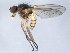 ( - 10BBCDIP-1362)  @13 [ ] CreativeCommons - Attribution (2010) CBG Photography Group Centre for Biodiversity Genomics
