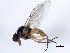  ( - 10BBCDIP-1380)  @13 [ ] CreativeCommons - Attribution (2010) CBG Photography Group Centre for Biodiversity Genomics