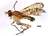 ( - 10BBCDIP-1428)  @13 [ ] CreativeCommons - Attribution (2010) CBG Photography Group Centre for Biodiversity Genomics