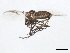  ( - 10BBCDIP-0047)  @13 [ ] CreativeCommons - Attribution (2010) CBG Photography Group Centre for Biodiversity Genomics