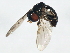  ( - 10BBCDIP-0085)  @13 [ ] CreativeCommons - Attribution (2010) CBG Photography Group Centre for Biodiversity Genomics