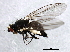  ( - 10BBCDIP-0159)  @12 [ ] CreativeCommons - Attribution (2010) CBG Photography Group Centre for Biodiversity Genomics