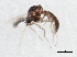  ( - 10BBCDIP-0168)  @13 [ ] CreativeCommons - Attribution (2010) CBG Photography Group Centre for Biodiversity Genomics