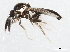  ( - 10BBCDIP-0171)  @13 [ ] CreativeCommons - Attribution (2010) CBG Photography Group Centre for Biodiversity Genomics