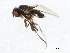  ( - 10BBCDIP-0206)  @12 [ ] CreativeCommons - Attribution (2010) CBG Photography Group Centre for Biodiversity Genomics