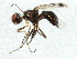  ( - 10BBCDIP-0212)  @13 [ ] CreativeCommons - Attribution (2010) CBG Photography Group Centre for Biodiversity Genomics