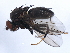  ( - 10BBCDIP-0317)  @13 [ ] CreativeCommons - Attribution (2010) CBG Photography Group Centre for Biodiversity Genomics