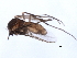  ( - 10BBCDIP-0326)  @12 [ ] CreativeCommons - Attribution (2010) CBG Photography Group Centre for Biodiversity Genomics