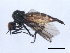  ( - 10BBCDIP-0369)  @13 [ ] CreativeCommons - Attribution (2010) CBG Photography Group Centre for Biodiversity Genomics