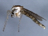  ( - 10BBCDIP-0400)  @13 [ ] CreativeCommons - Attribution (2010) CBG Photography Group Centre for Biodiversity Genomics