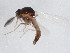  ( - 10BBCDIP-0410)  @13 [ ] CreativeCommons - Attribution (2010) CBG Photography Group Centre for Biodiversity Genomics