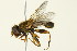  ( - PCPP10-0102)  @13 [ ] CreativeCommons - Attribution (2010) CBG Photography Group Centre for Biodiversity Genomics