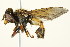  ( - PCPP10-0103)  @15 [ ] CreativeCommons - Attribution (2010) CBG Photography Group Centre for Biodiversity Genomics