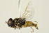  ( - PCPP10-0112)  @12 [ ] CreativeCommons - Attribution (2010) CBG Photography Group Centre for Biodiversity Genomics