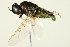  ( - PCPP10-0113)  @12 [ ] CreativeCommons - Attribution (2010) CBG Photography Group Centre for Biodiversity Genomics