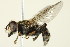  ( - PCPP10-0122)  @14 [ ] CreativeCommons - Attribution (2010) CBG Photography Group Centre for Biodiversity Genomics