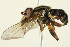  ( - PCPP10-0123)  @12 [ ] CreativeCommons - Attribution (2010) CBG Photography Group Centre for Biodiversity Genomics