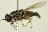  ( - PCPP10-0131)  @13 [ ] CreativeCommons - Attribution (2010) CBG Photography Group Centre for Biodiversity Genomics