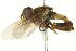  ( - PCPP10-0151)  @12 [ ] CreativeCommons - Attribution (2010) CBG Photography Group Centre for Biodiversity Genomics