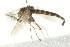  ( - PCPP10-0231)  @12 [ ] CreativeCommons - Attribution (2010) CBG Photography Group Centre for Biodiversity Genomics