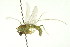  ( - PCPP10-0266)  @12 [ ] CreativeCommons - Attribution (2010) CBG Photography Group Centre for Biodiversity Genomics