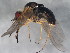  ( - 10BBCDIP-1730)  @12 [ ] CreativeCommons - Attribution (2010) CBG Photography Group Centre for Biodiversity Genomics