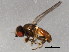  ( - 10BBCDIP-1813)  @13 [ ] CreativeCommons - Attribution (2010) CBG Photography Group Centre for Biodiversity Genomics