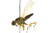  ( - 10BBCDIP-1844)  @14 [ ] CreativeCommons - Attribution (2010) CBG Photography Group Centre for Biodiversity Genomics