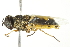  ( - 10BBCDIP-1875)  @13 [ ] CreativeCommons - Attribution (2010) CBG Photography Group Centre for Biodiversity Genomics