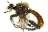  ( - 10BBCDIP-1921)  @14 [ ] CreativeCommons - Attribution (2010) CBG Photography Group Centre for Biodiversity Genomics
