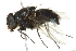 ( - 10BBCDIP-2024)  @13 [ ] CreativeCommons - Attribution (2010) CBG Photography Group Centre for Biodiversity Genomics