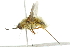  ( - 10BBCDIP-2086)  @13 [ ] CreativeCommons - Attribution (2010) CBG Photography Group Centre for Biodiversity Genomics