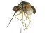  ( - 10BBCDIP-2090)  @12 [ ] CreativeCommons - Attribution (2010) CBG Photography Group Centre for Biodiversity Genomics