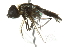  ( - 10BBCDIP-2130)  @13 [ ] CreativeCommons - Attribution (2010) CBG Photography Group Centre for Biodiversity Genomics